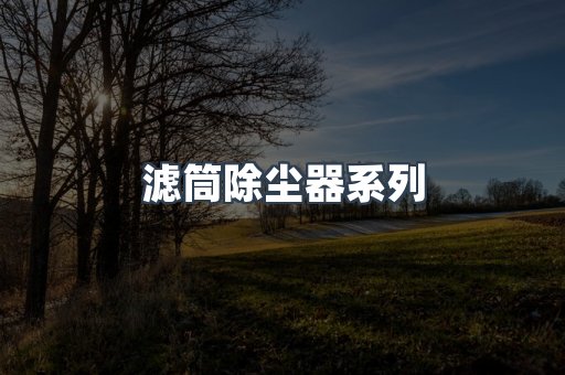 滤筒除尘器系列
